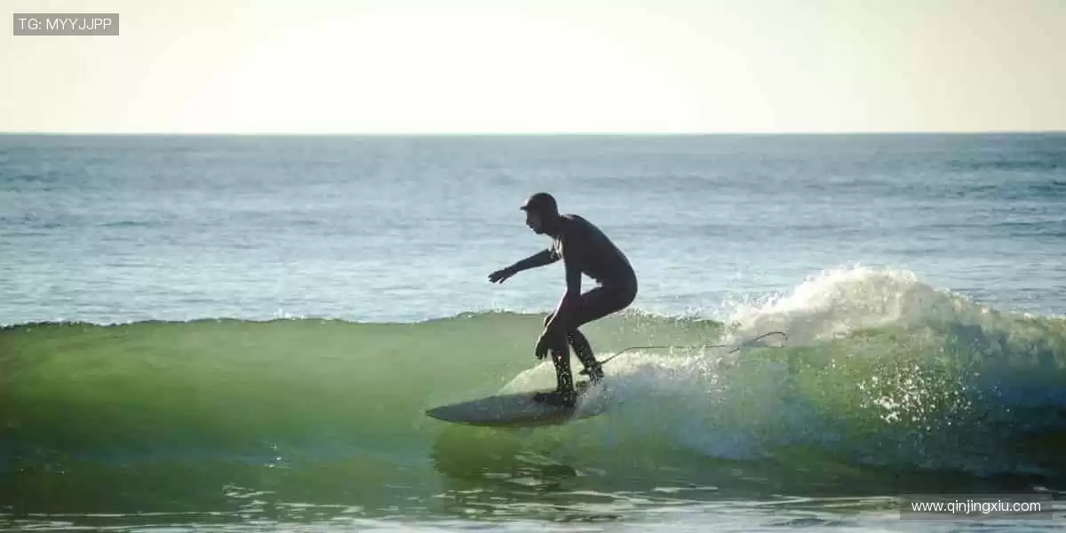 🚀 点击即达,开启你的体育梦想之旅!✨
